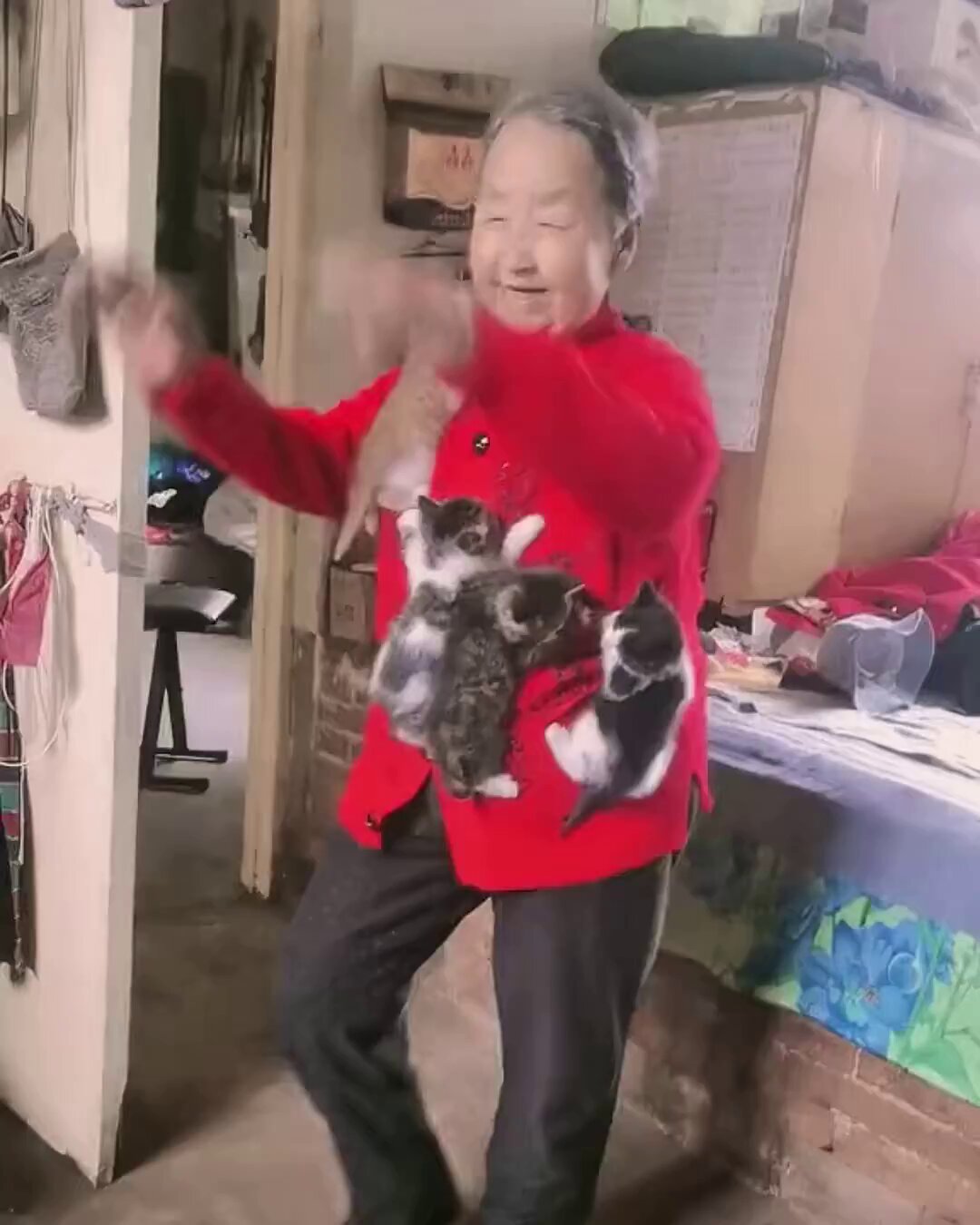 cats with threatening auras (@catshealdeprsn) on X