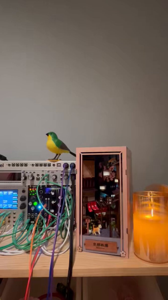 QU-Bit Aurora モジュラーシンセサイザー Aurora | Spectral Reverb | Eurorack Modular Synth — Qu-Bit