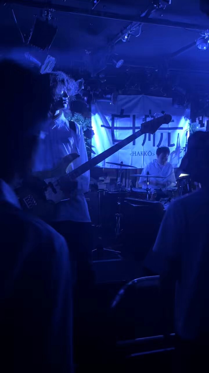 白鷺琴音 全音 文化筝 白鷺 (しらさぎ) 和楽器バンド いぶくろ聖志監修 NO