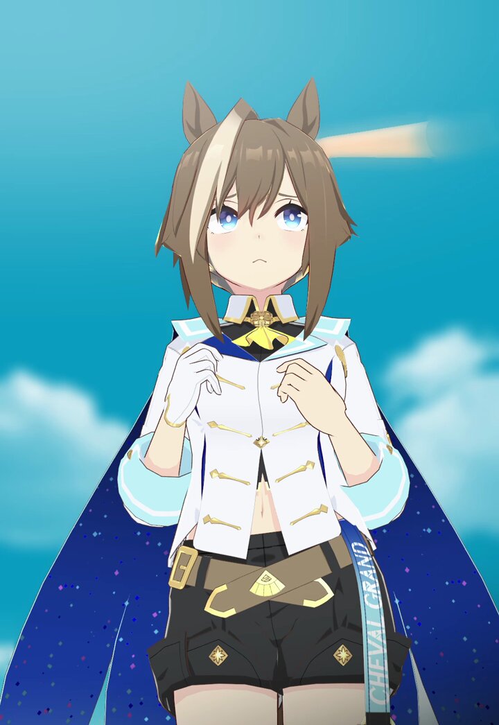 シュヴァルグラン　まとめ売り 2025年最新】シュヴァルグランの人気アイテム - メルカリ
