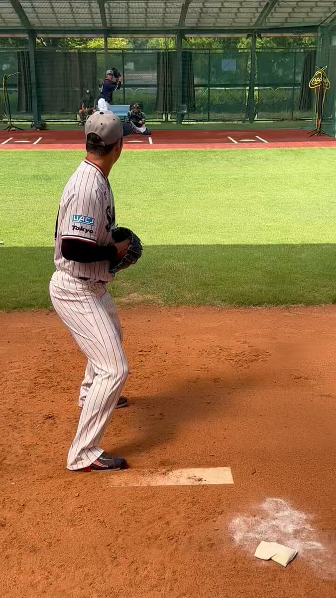 東京ヤクルトスワローズ　YS カーディガン　ブラック　Lサイズ　公式 新 デザインスポーツ - 東京ヤクルトスワローズ YS カーディガン