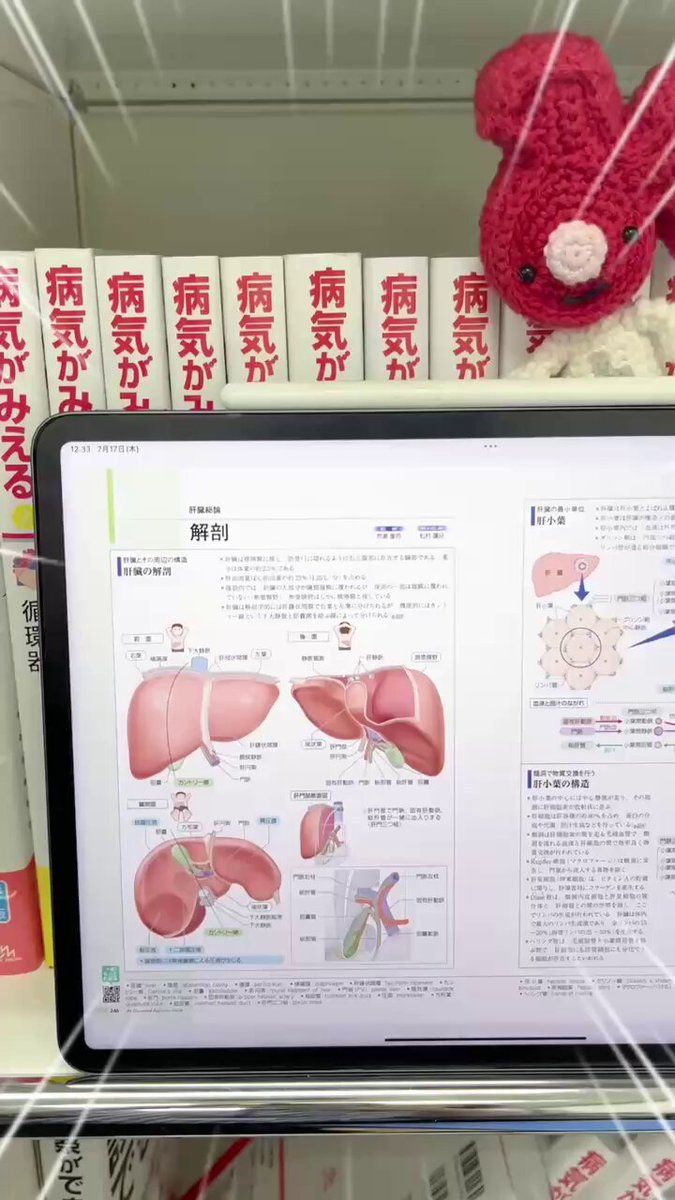 週末限定セール‼️病気がみえる 　1・2・3・4・5・7・8・10 楽天市場】病気がみえるの通販