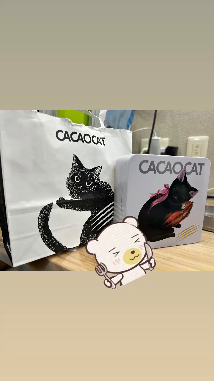 🐱ゆーちゃん🐱 on X: 
