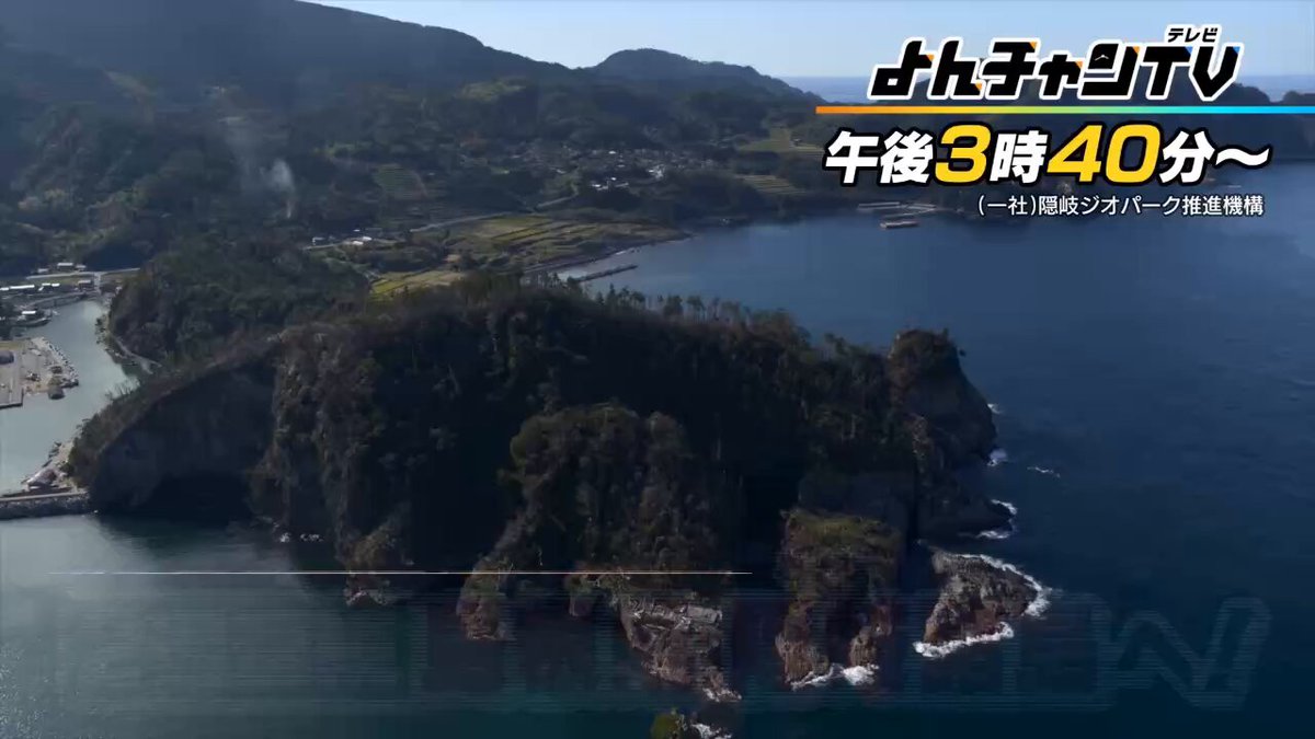 ★よんちゃんです★ よんチャンTV | MBS 毎日放送