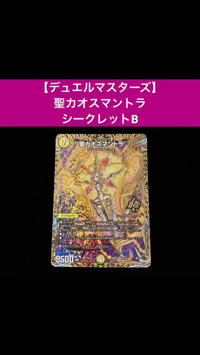 【購入前コメント必須】ワイバーンガード バリィ　sp3枚　 10/10 10/10 バリィ 償わ 【購入前コメント必須】ワイバーンガード