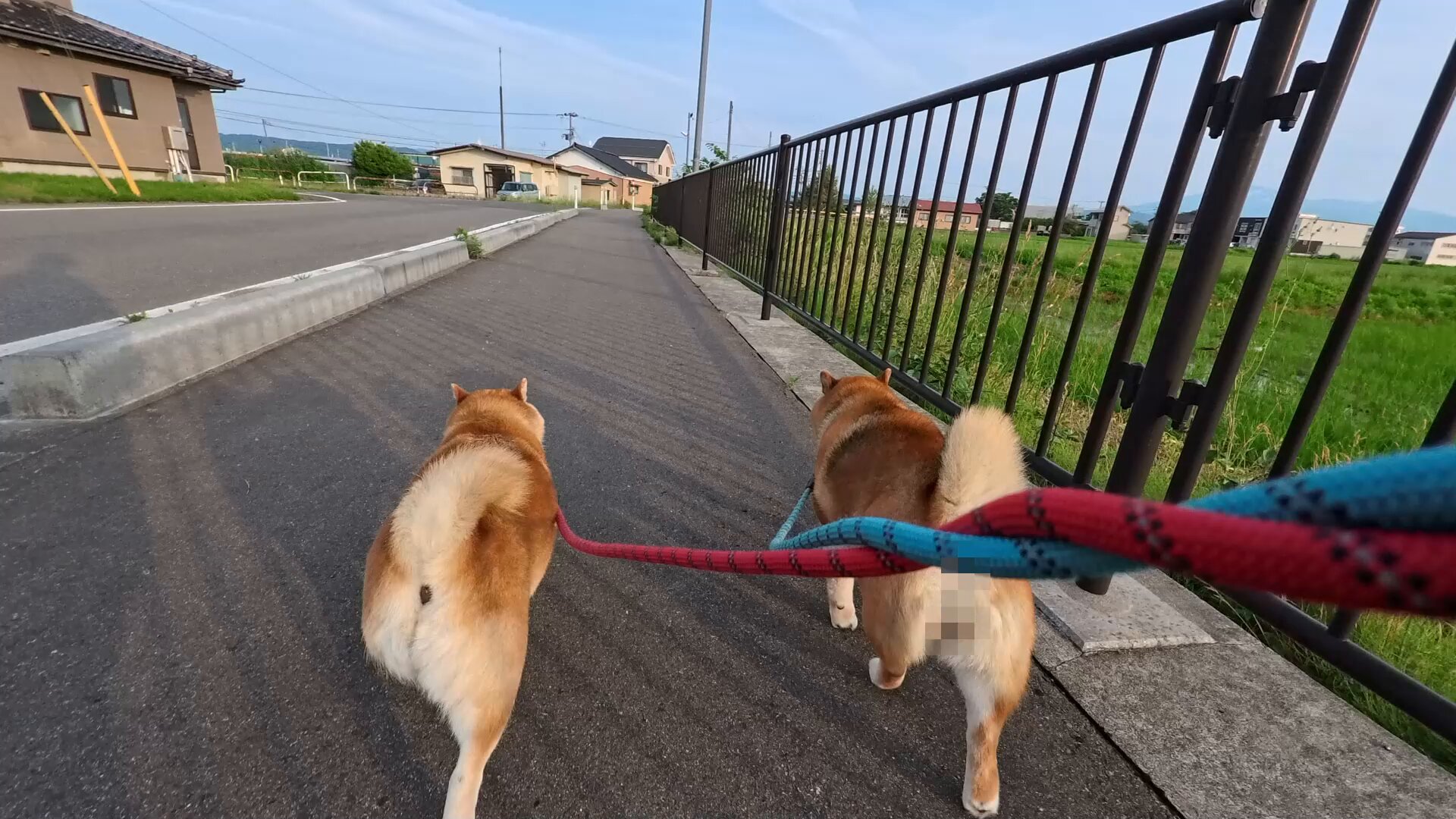inuinuページ Amazon | Shinyever 犬ゲージ 犬 サークル ウッディサークル 犬