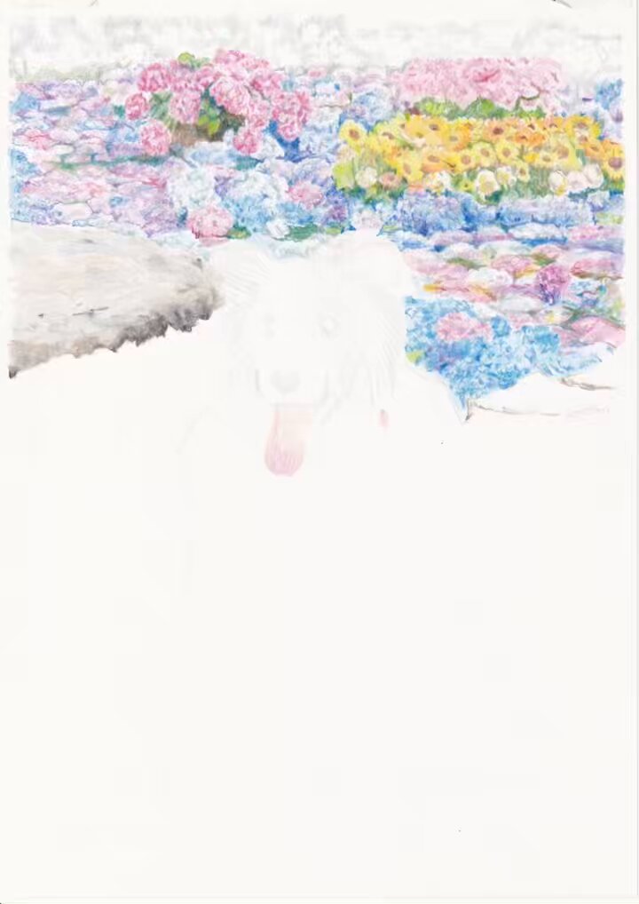 とももん　手描き　イラストリクエスト 𓊆 WORK 𓊇 Gakken発行 ☆彡.。 児童書『#虹の島のお手紙つき