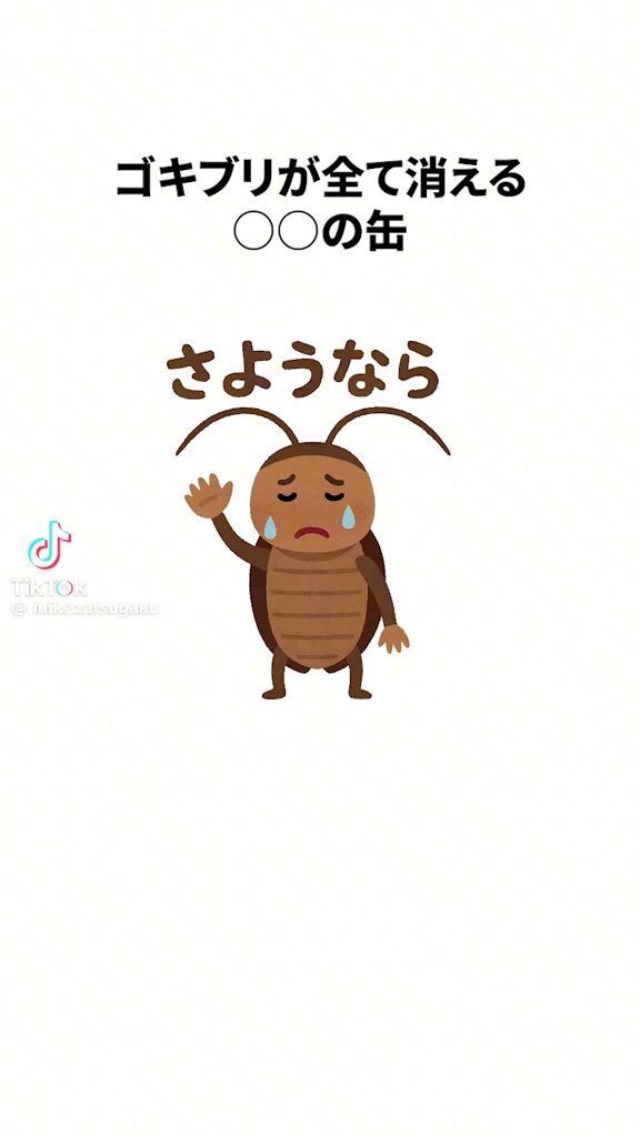 ★よんちゃんです★ よんチャンTV | MBS 毎日放送
