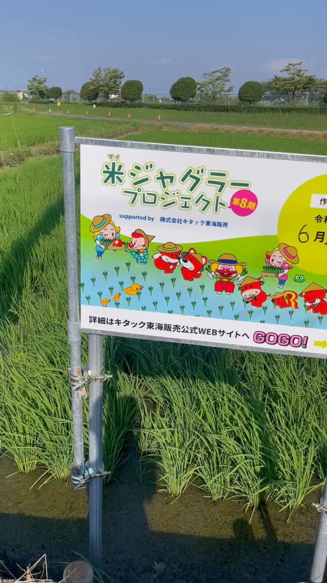 ジャグラー死す! プロモ 4枚セット チャレンジマッチ ジャグラー死す! プロモ 4枚セット チャレンジマッチ ジャグラー