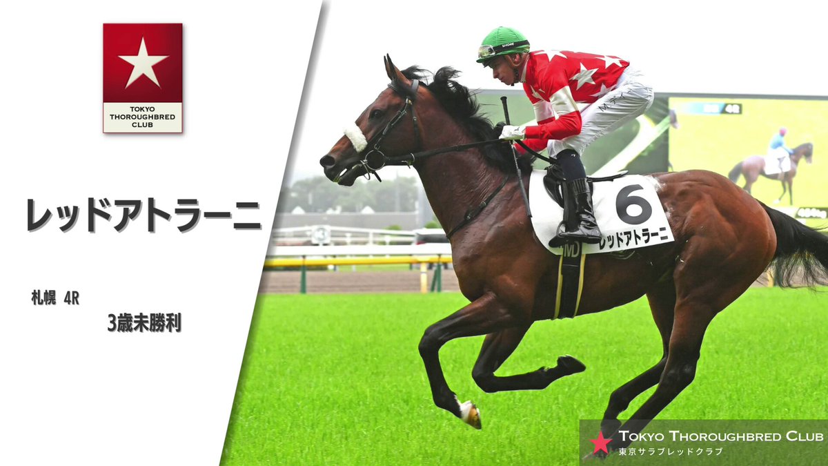 競走馬　THE VICTORY PLATINUM サラブレッド　未開封 美品 競走馬 THE VICTORY 1999年 サラブレッドカード 未開封