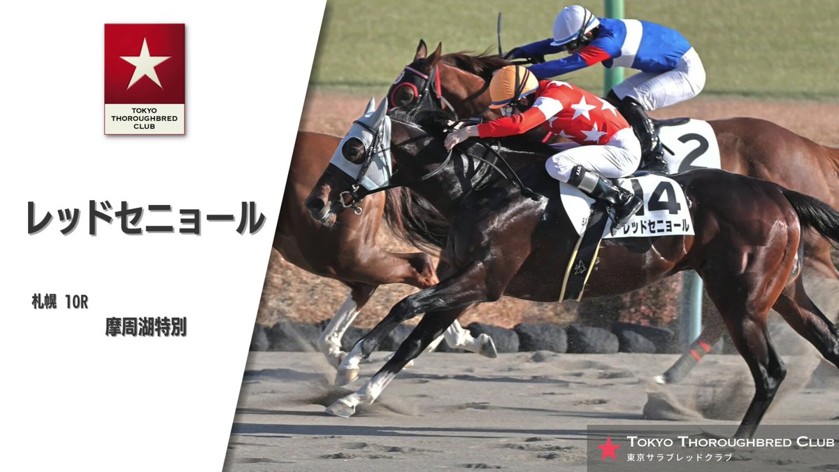 【中古】 勝ち馬全予告！ 関東・関西ー重賞総取り作戦１０４/ベストセラーズ/「競馬最強の法則」編集部 中古】 勝ち馬全予告！ 関東・関西ー重賞総取り作戦104