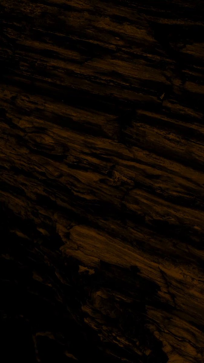 Ayçiçeği Vadisi’nde Emre Fel ile Müzik Buluşması