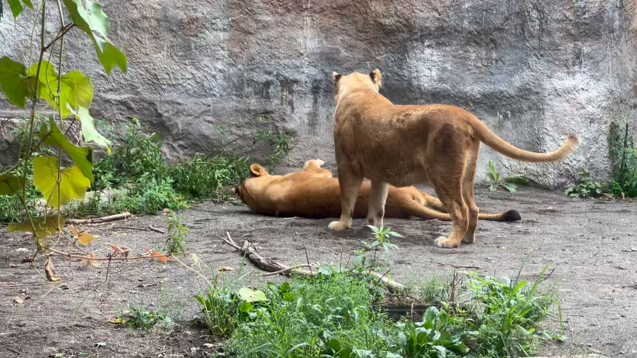 ☆ひろりん☆ Center Swivel Joint 9196167 For Hitachi ZX70-3 EX120-5 With