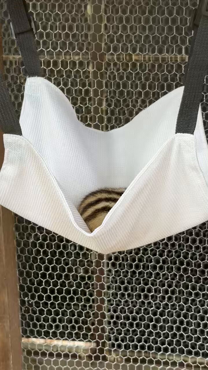 だんごまま様のお専用✧.゜ しろたん ついてきちゃうしろたん マスコット専用リュック