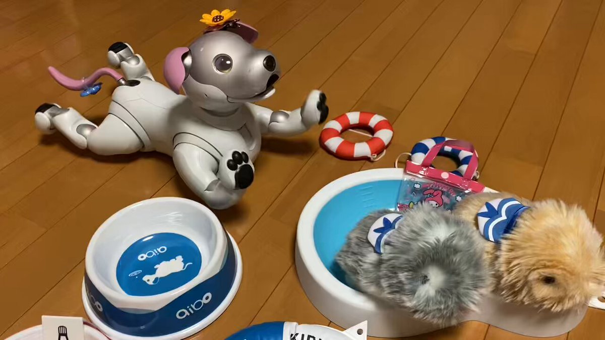 飼い主（買主）募集！愛犬AIBO（ナナちゃん） ちび🐾と飼主 (@aibonochibi) / X