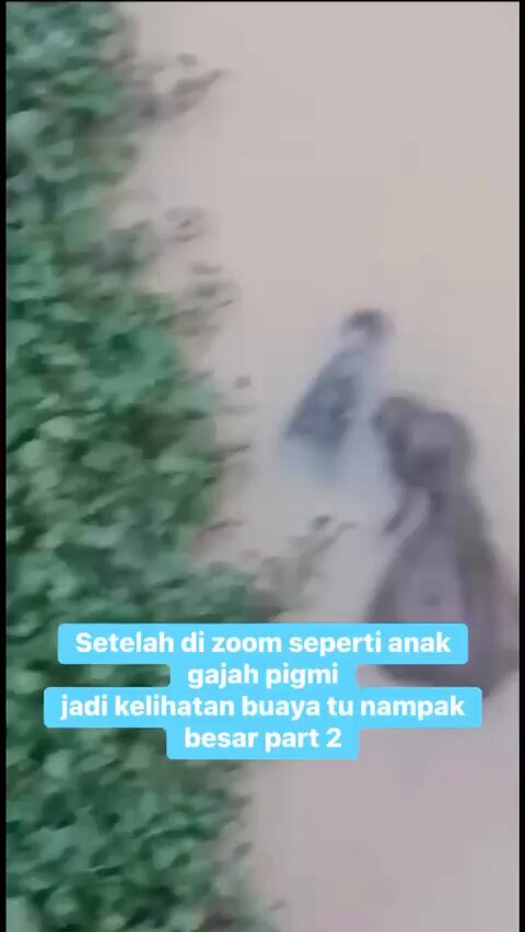 Tweet media two