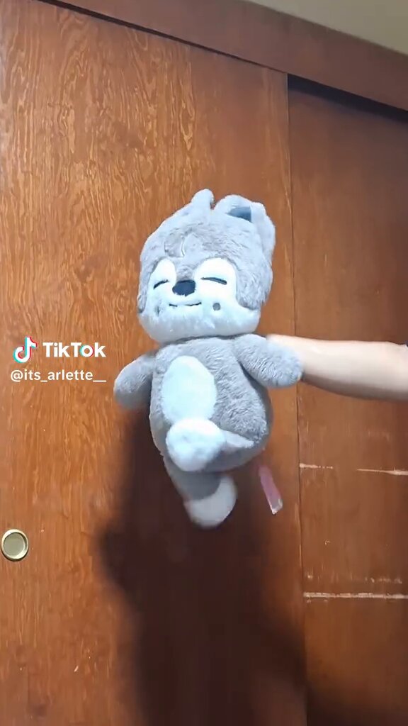 たぬき たぬき on X: 