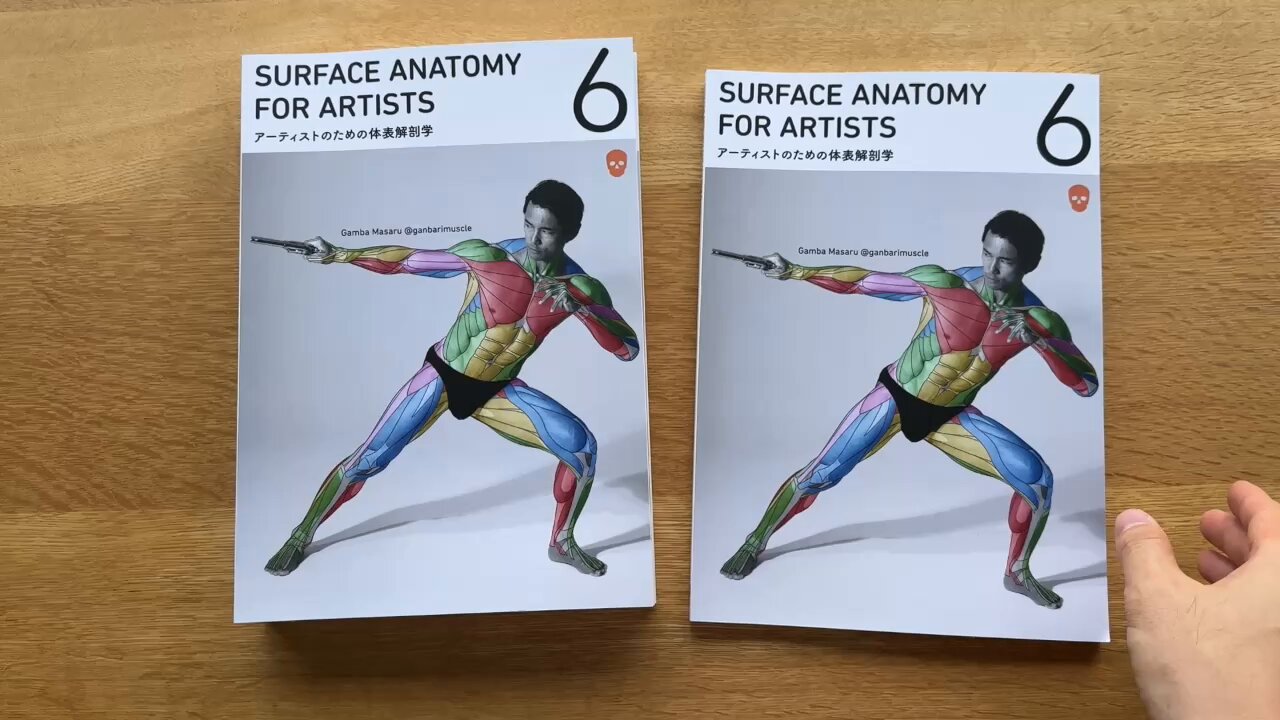 anatomy tutorials on X: 