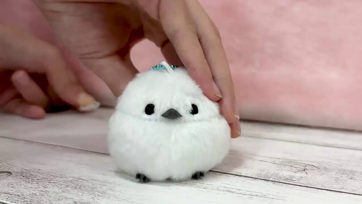 AMUSE ミニラゲッジクールセット アミューズ公式オンラインショップ