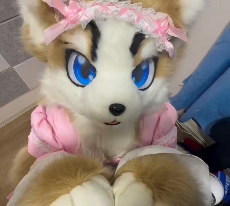 ⭐︎みゆう⭐︎のびねこ他⑤ うらい on X: 