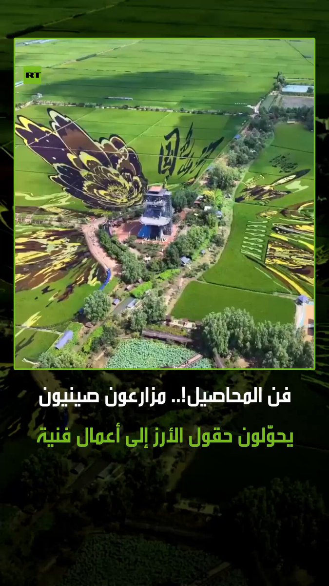 حقول الأرز الصينية تتحول للوحات فنية! في مدينة شنيانغ شمال الصين، تحولت حقول الأرز إلى أعمال فنية ثلاثية الأبعاد آسرة، مصنوعة من شتلات أرز ملونة مزروعة بعناية، حيث تتداخل نباتات الأرز الأرجوانية والصفراء والخضراء لتُشكّل لوحات فنية شاسعة لحقول الأرز #الصين 