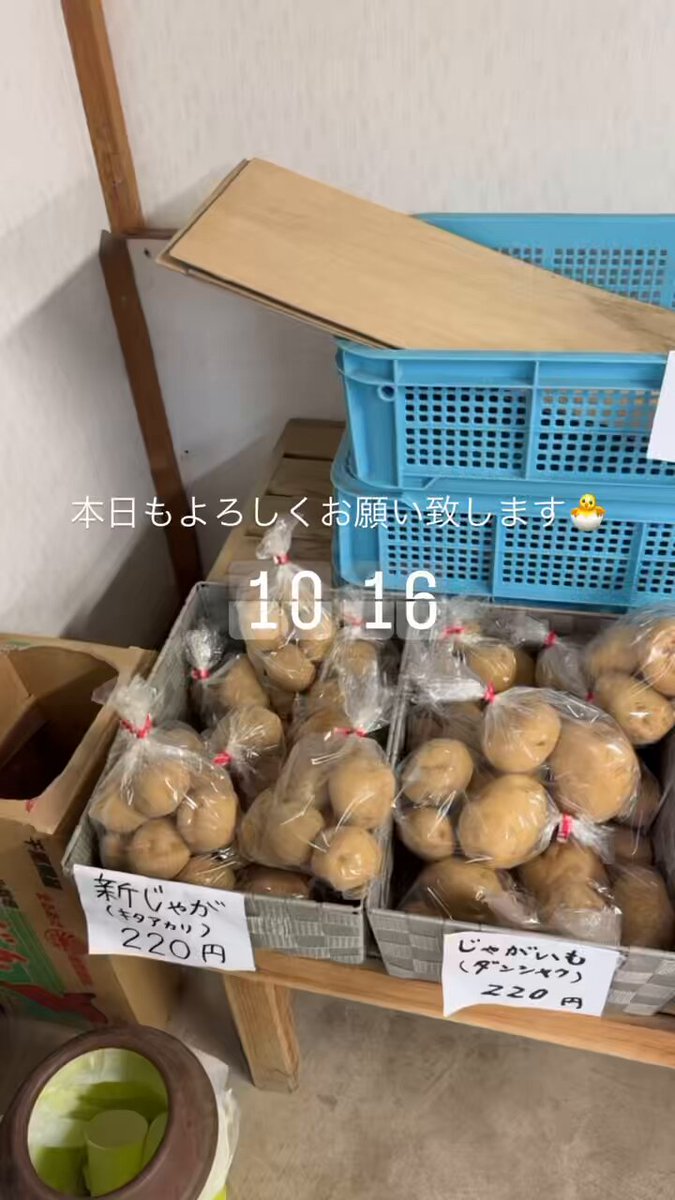 織茂養鶏場🥚横浜たまご【横浜市都筑区】12時から13時はお昼休み