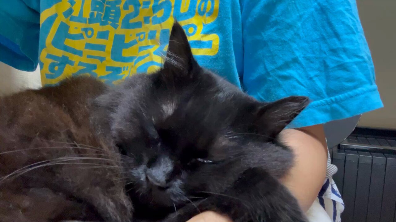 まこにゃ プロフ見て下さい(ペコリ 数日前にしまむらで販売された 💕ペコちゃんの靴下🧦福袋だよ