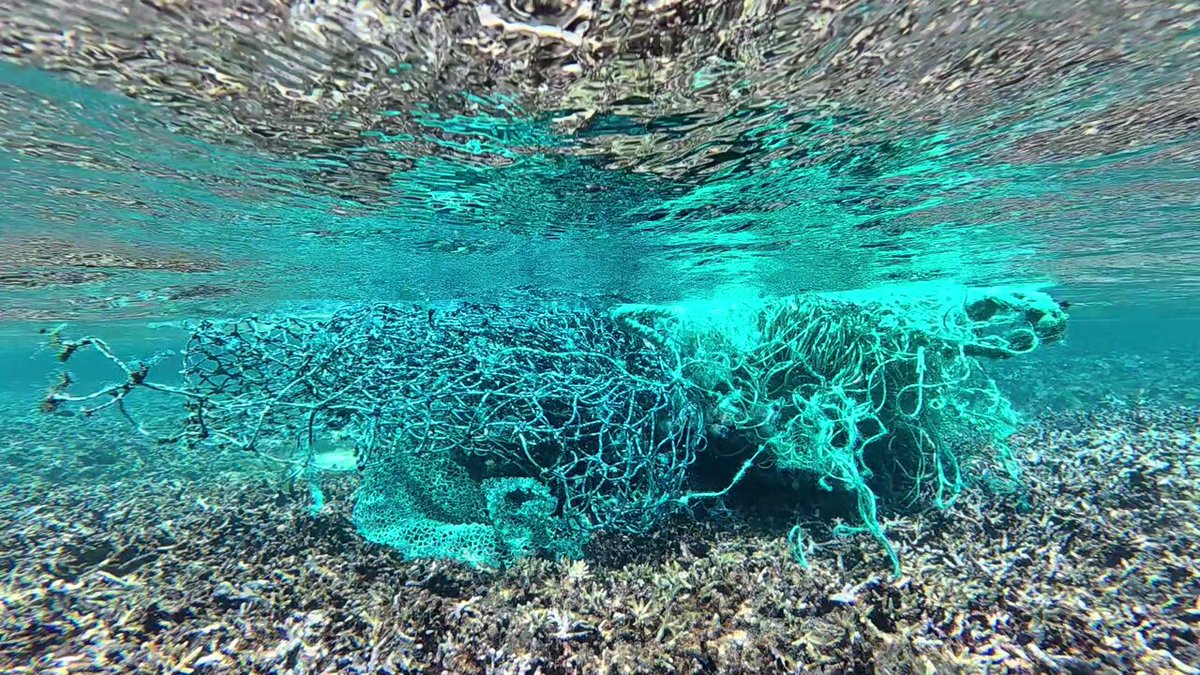アテネ書房　釣心魚心　釣の裏の手　釣の本　釣ざんまい　露伴釣談　釣師気質　釣魚譜 アテネ書房 釣心魚心 釣の裏の手 釣の本 釣ざんまい 露伴釣談 釣