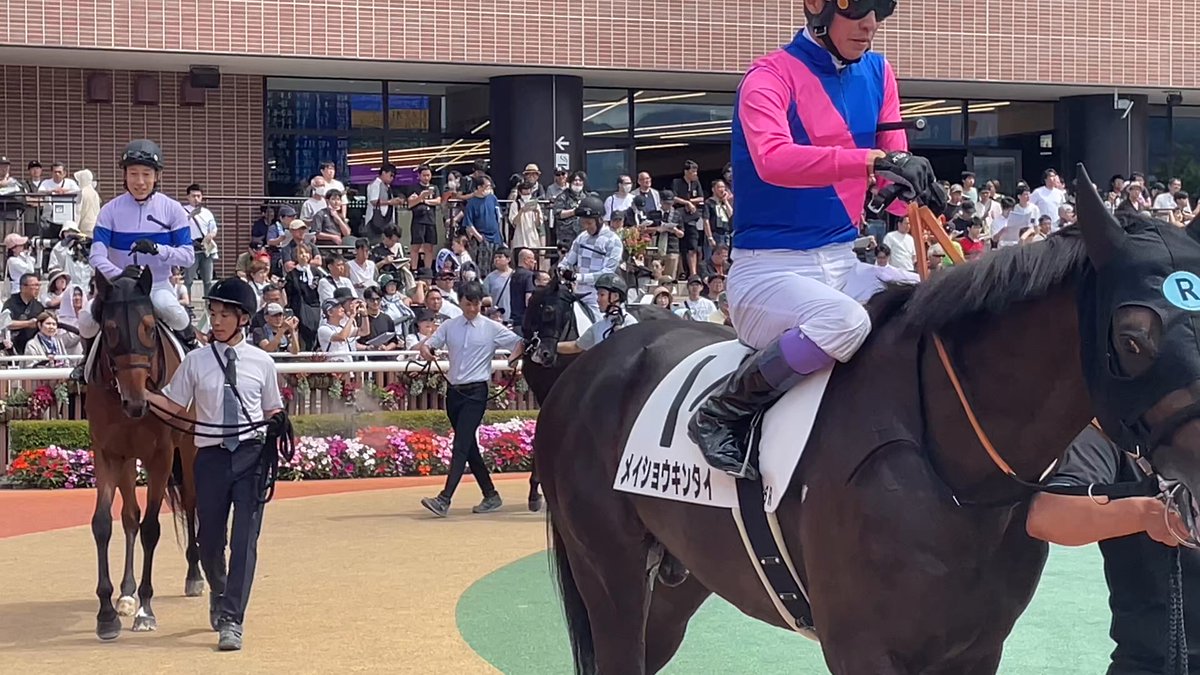 サウンドビバーチェ　実使用ゼッケン 　ターコイズS（G3）浜中俊騎乗 阪神牝馬S】サウンドビバーチェ重賞初V 浜中俊騎手「力がある