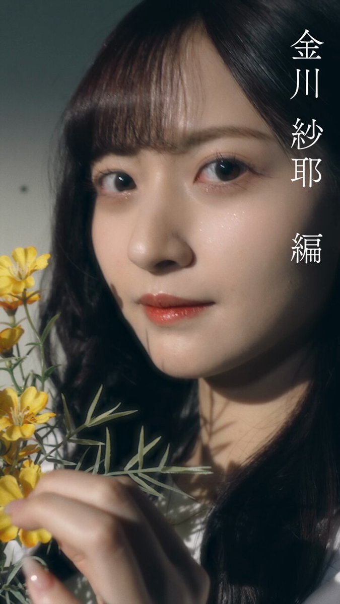 乃木坂46 - やんちゃんまる あと3日か、、、 #乃木坂46 #nogizaka46 #のぎざか46 #白石麻衣