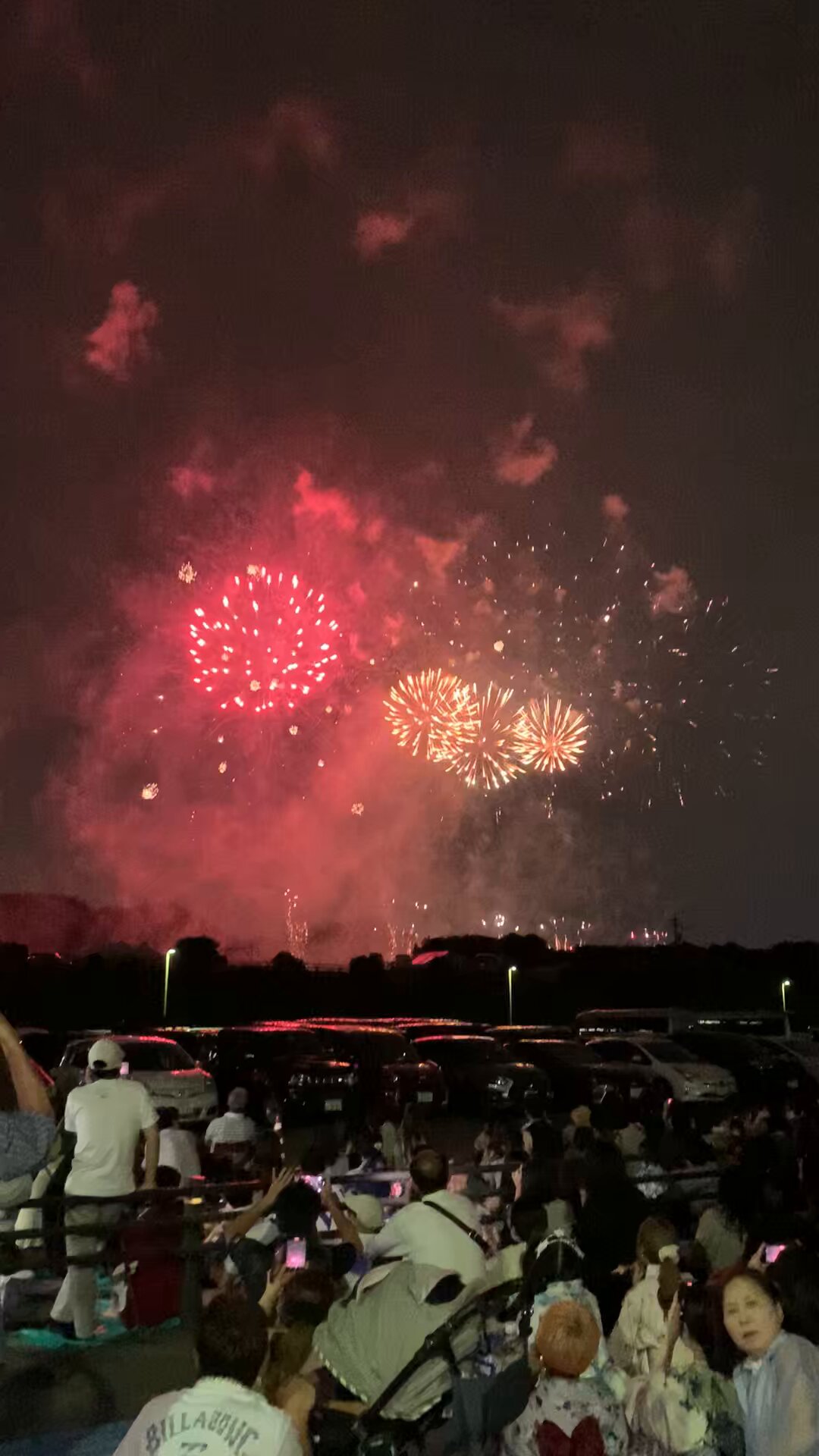 岐阜県岐阜市 引き取り限定 花の慶次 ～愛HーV 卓上 ジャンク 岐阜県岐阜市 引き取り限定 花の慶次 ～愛HーV 卓上 ジャンク