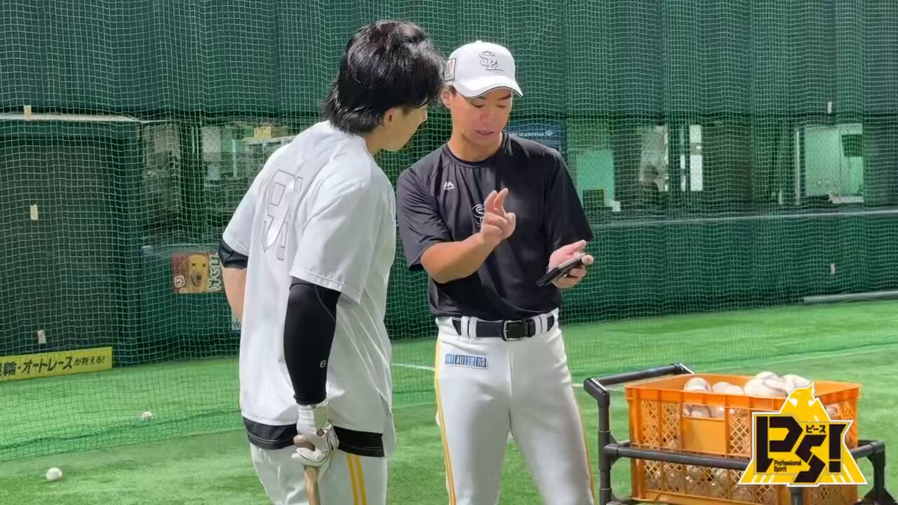 asics - 福岡ソフトバンクホークス #24 長谷川勇也 選手  実使用バット 51czKr9+2WL._UF894,1000_QL80_.jpg
