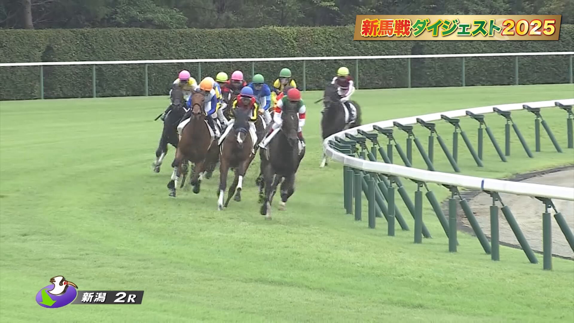 JRA第2回ジョッキーマスターズ特別記念セット JRA70周年 イベント・キャンペーン情報｜JRA