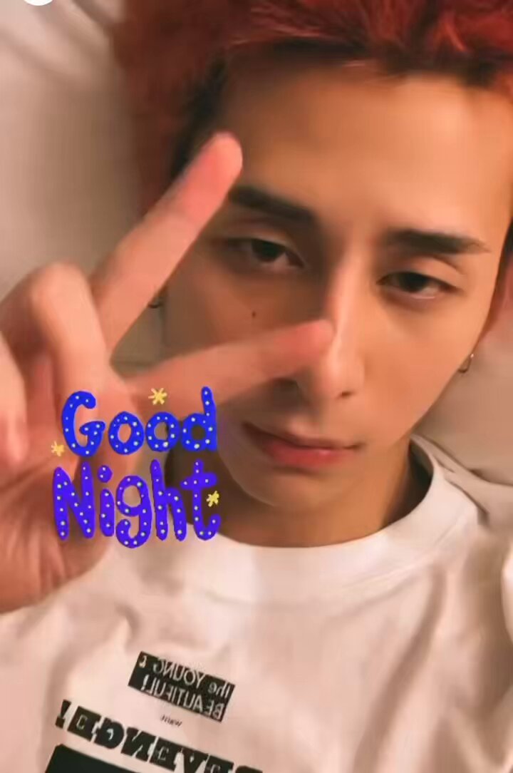 西洸人 ボックス 1738076590-