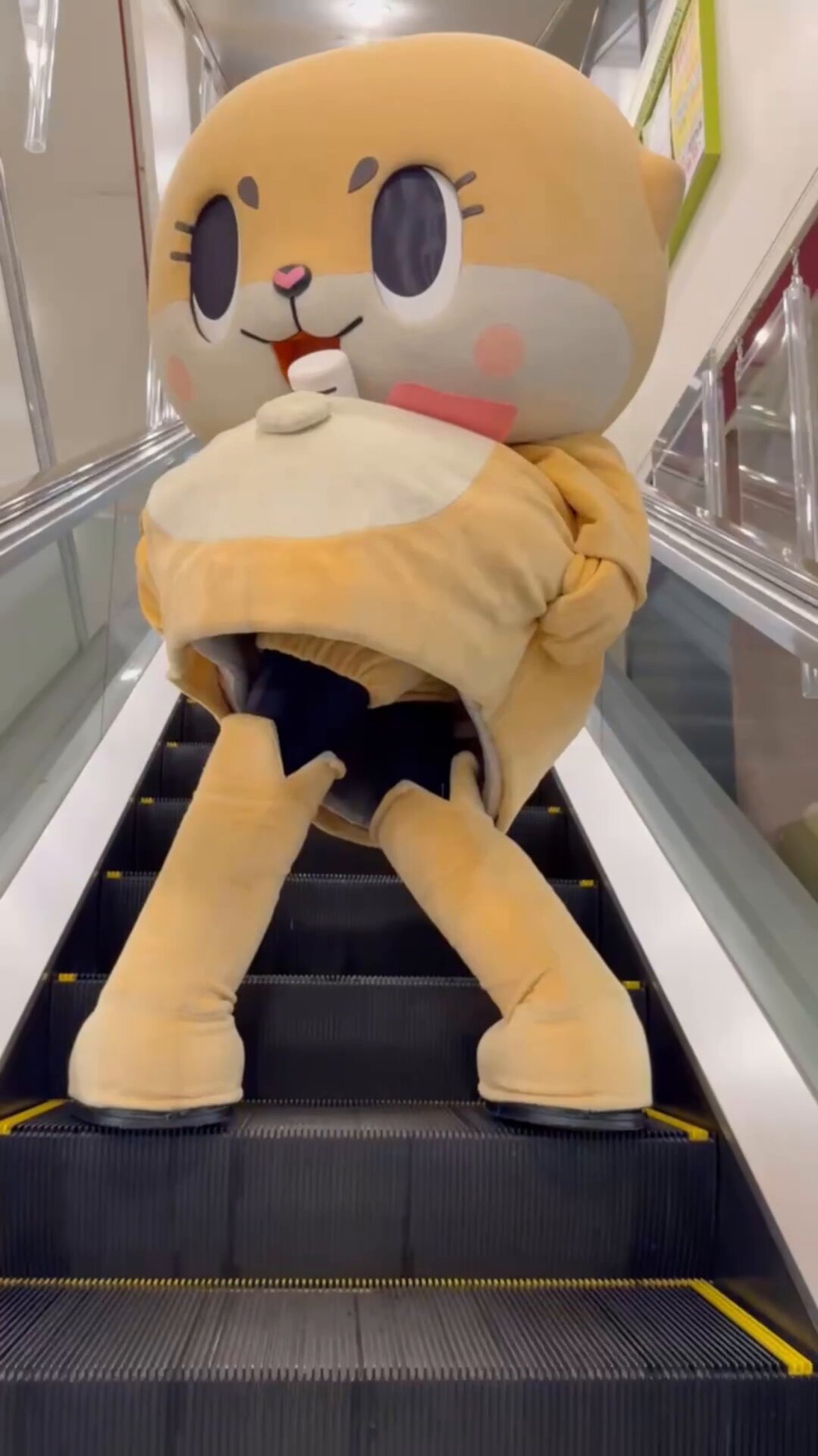 ちぃたん☆／Chiitan (@chiitan7407) / X