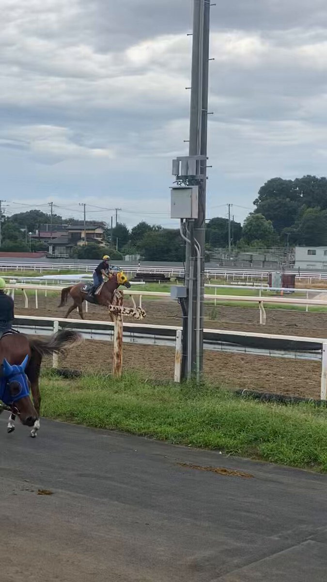 masa.n27 (@masa35423132) / X