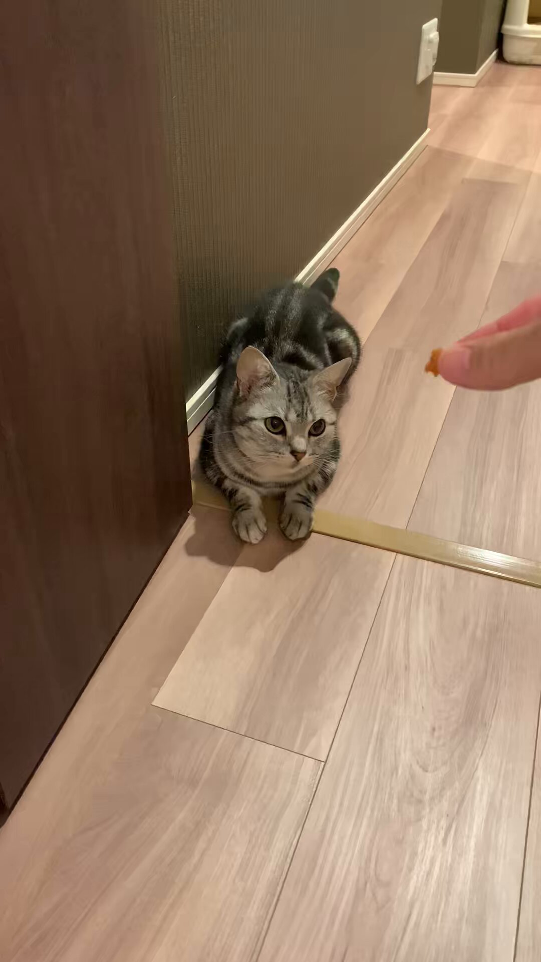 ♦︎あんこページ♦︎ Amazon | あんこの内藤 つぶあん 100g×5袋セット | あんこ