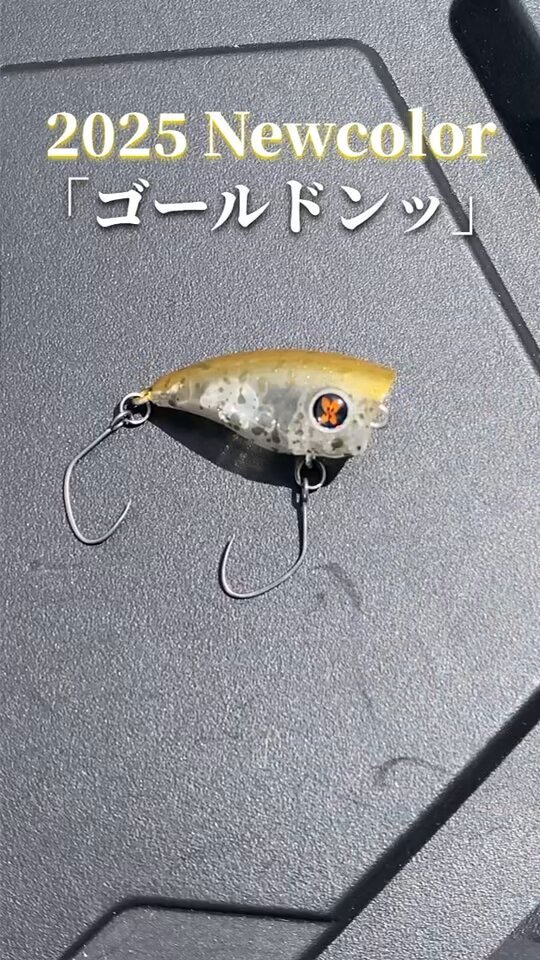 ルアー・フライ kimera 2 全8色】ヤマシタ エギ王 サーチ 2.5号 YAMASHITA - 【バス