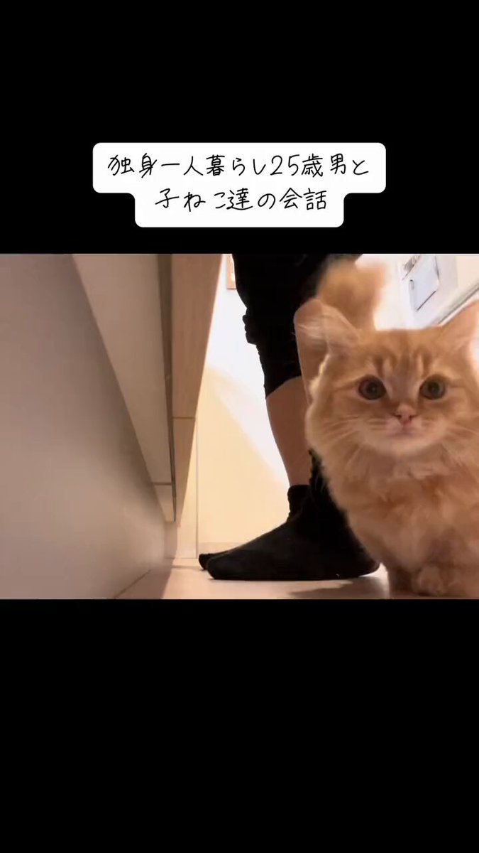 お猫様の下僕 僕はお猫様の下僕です。 | Gファンタジー | SQUARE ENIX