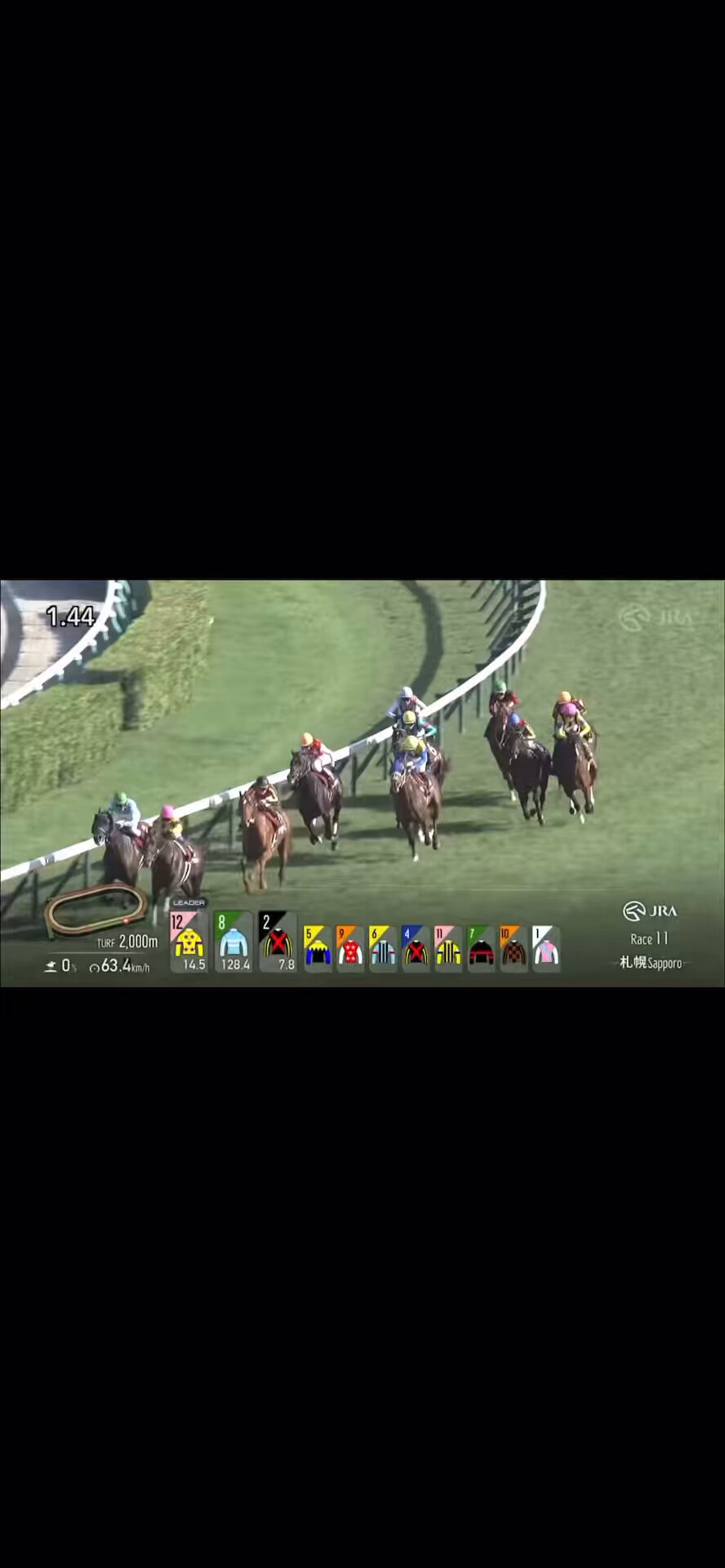 競馬パネル：ホクトベガ「1994年第30回札幌記念」 ※プレート付き sddefault.jpg