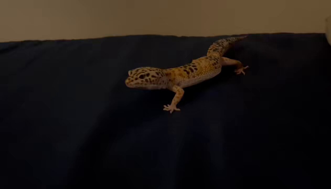 そらまる - Search / X