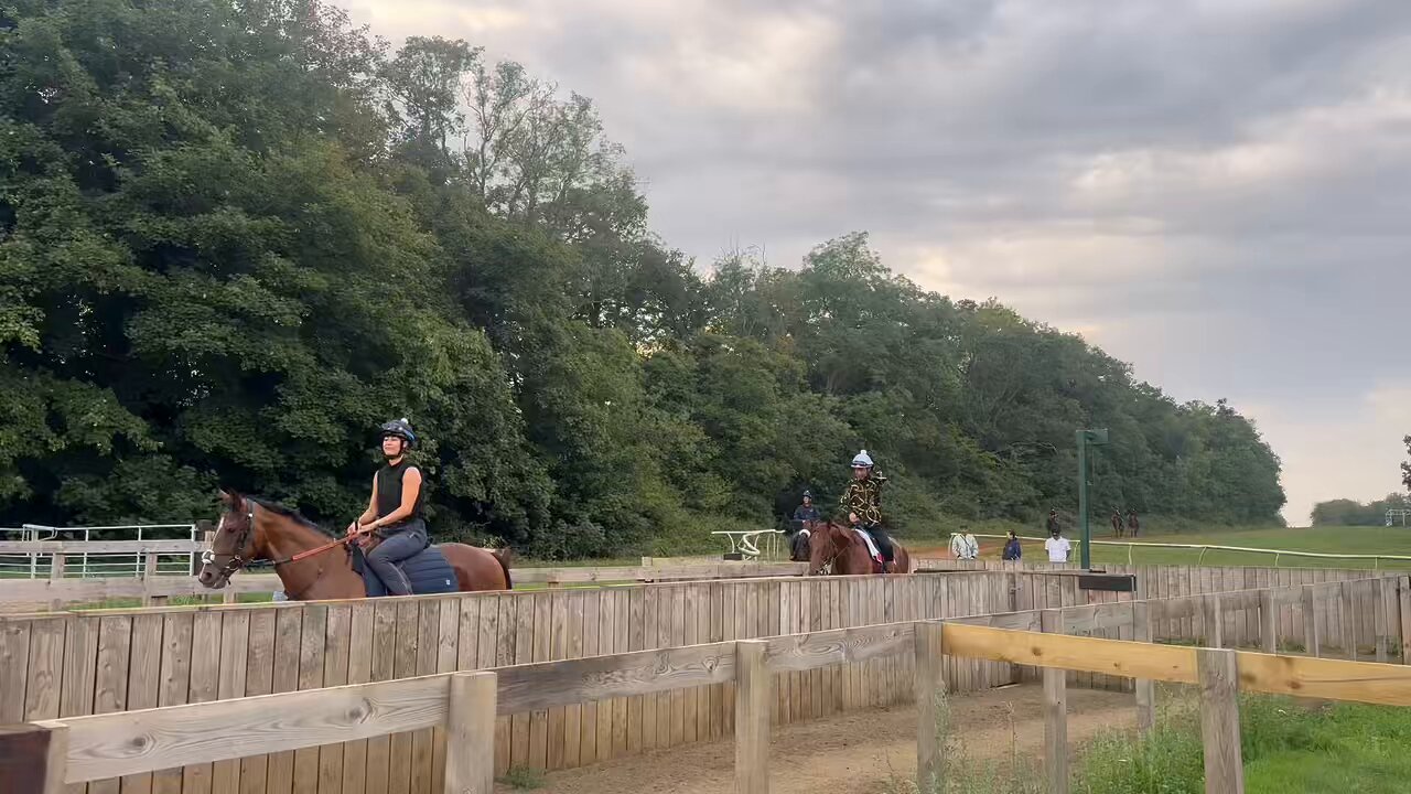 ダノンデサイル ➕おまけ　ダノンデサイルカプコレ ダノンデサイル ➕おまけ ダノンデサイルカプコレ