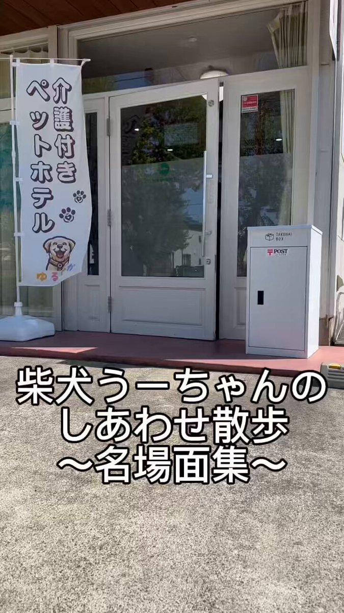 柴りん様 リクエスト 6点 まとめ商品 りんりん🍎ⁱᴸʸˢ (@hazkey88) / X
