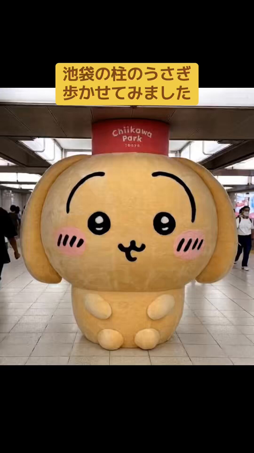 ちいかわ　うさぎ袋 ちいかわ フェイス巾着（うさぎ） | ちいかわマーケット 公式