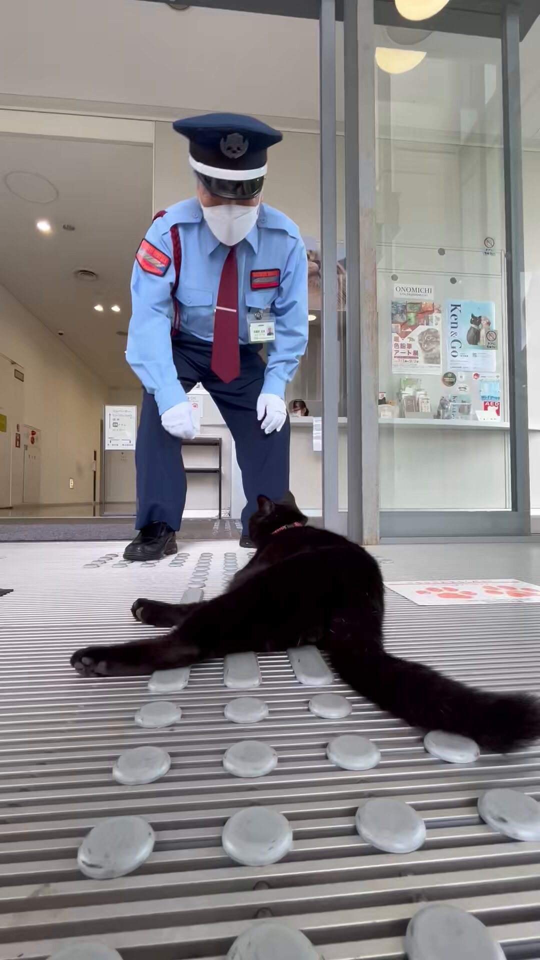 ねこねこねこ　0226 JXK Studio ゴジニャン 猫 キャット Meowzilla JXK226 A B C - 1