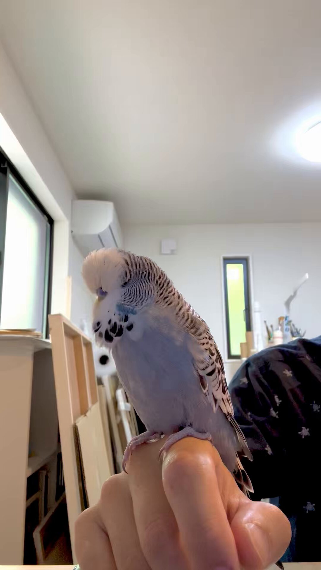 神聖家畜帝国 ｜久保俊太郎 on X: 