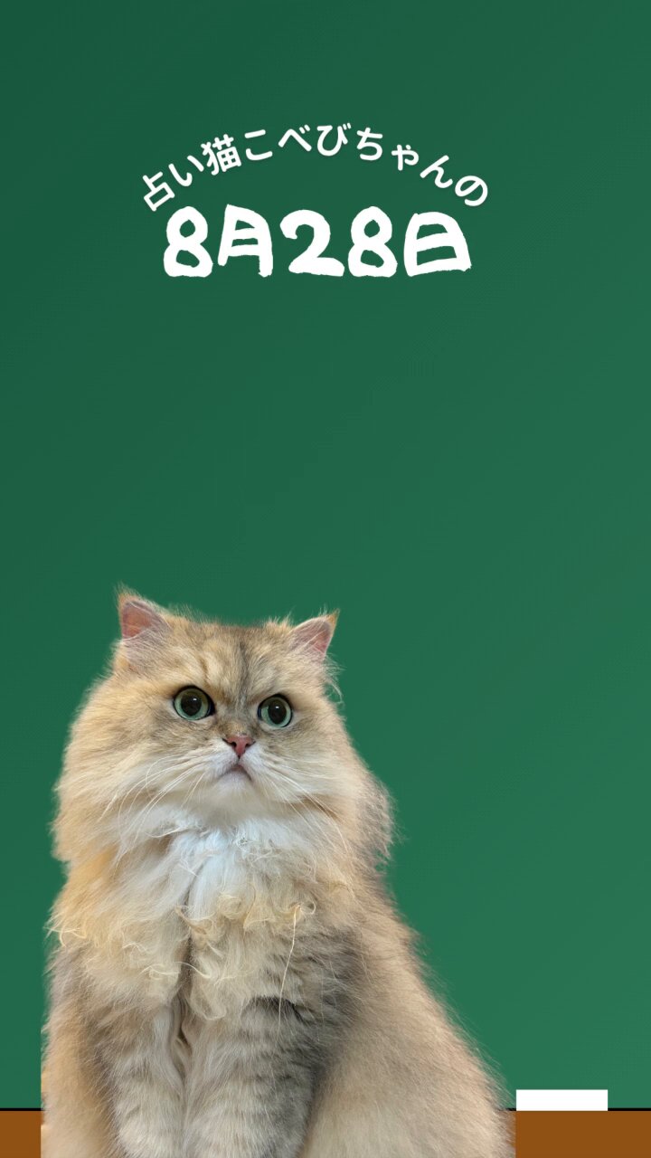 ⭐︎ランランページひ⭐︎のびねこ他⑥ GRFnU7ebMAAAPbr.jpg:large