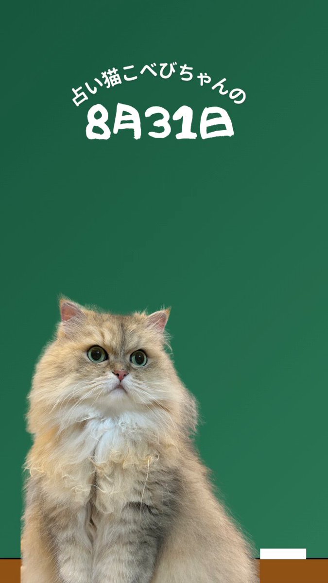 ⭐︎ランランページひ⭐︎のびねこ他⑥ 桜野カレン on X: 