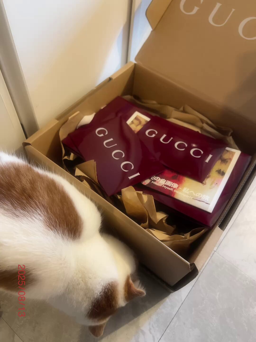 レア　GUCCI ヒグチユウコ　空箱 レア GUCCI ヒグチユウコ 空箱