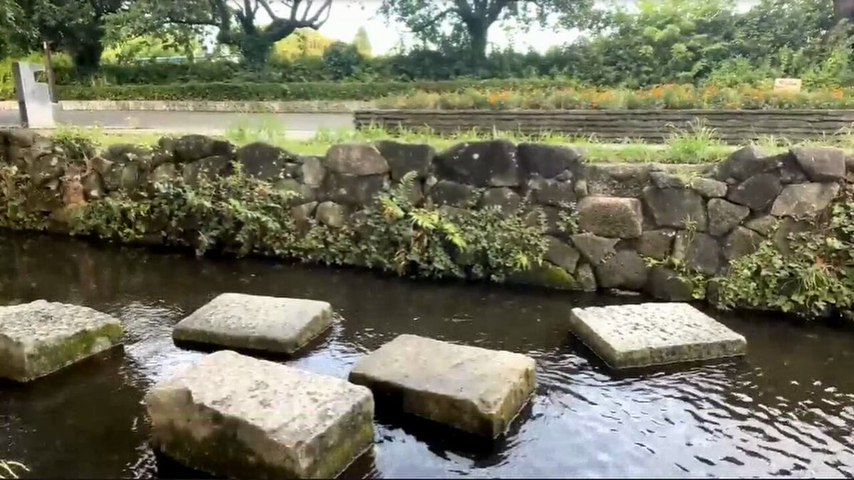 動画サムネイル